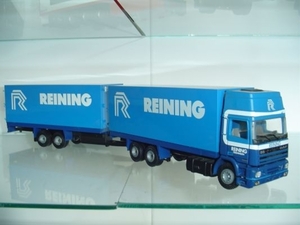 Reining - Groningen   DAF Topsleeper