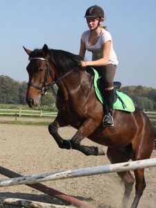 phebe te paard