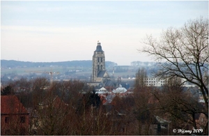 IMG_0079 (Medium)