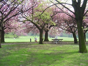 LENTE IN 'T RIVIERENHOF