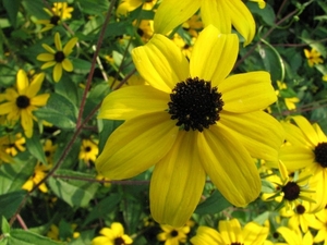 00               654 Bloom Gordon.