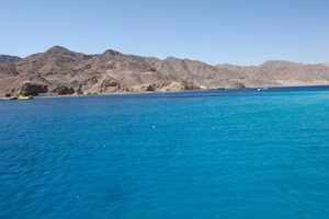 taba110