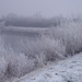 winter -oevers Schelde