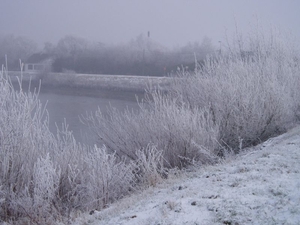 winter -oevers Schelde