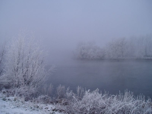 winter - oevers Schelde