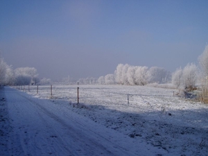 winter - Langs de spoorlijn