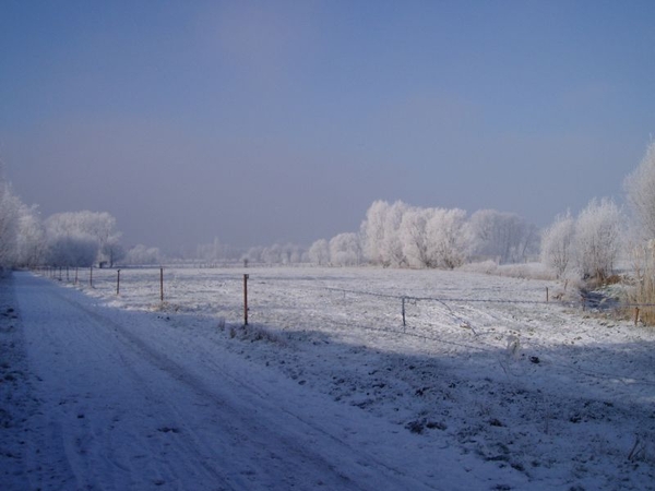 winter - Langs de spoorlijn