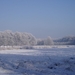winter - Bos