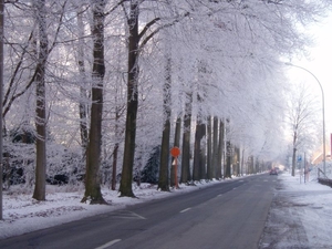 winter - Kasteelstraat