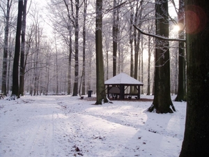 winter - konijnenberg