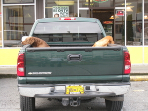 Alaska08 097