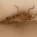 P1020837