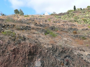 P1020517