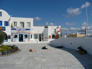 P1020518