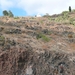 P1020517 - Copy