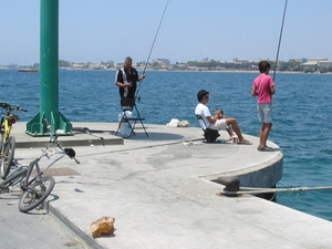 haven1