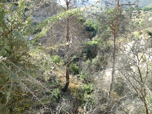 wildernis