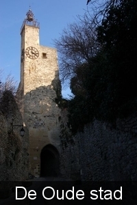 Vaison - la - Romain