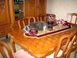 2007 060