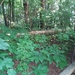 fort2 012