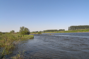 de Maas te Borgharen