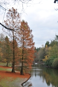 herst in wandelbos tilburg