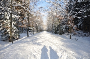 pad in de sneeuw-schaduw en zon waranda tilburg