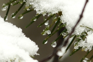 smeltende sneeuw slingeredreef bavel