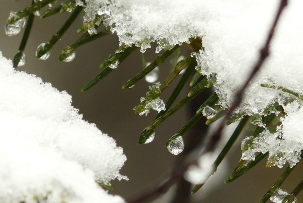 sneeuw