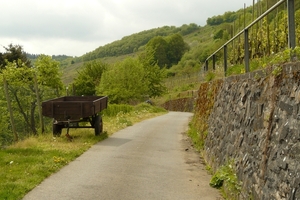 wandelpad cochem duitsland