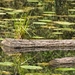 DSC_4644_bewerkt-1