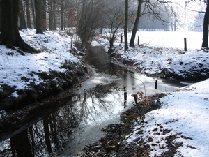 winterlandschap