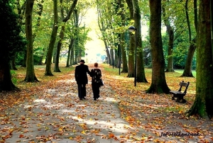 De herfst (van het leven) in Colomapark