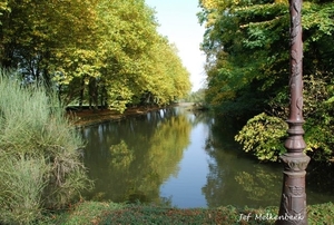 Groene rust in Coloma