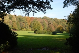 In de herfstzon