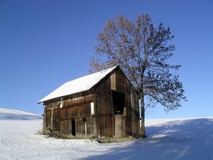 landen Zwitserland - Gruyère (Medium)