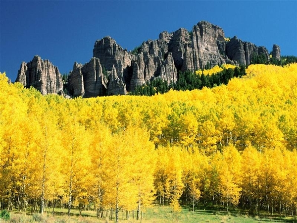 landschap 16 (Colorado) (Medium)