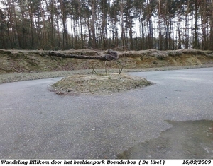WandelingEllikom15022009_7JPG