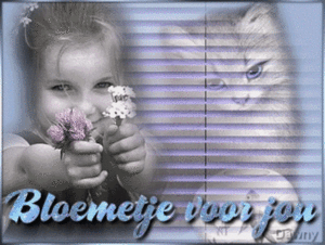 bloemetjes