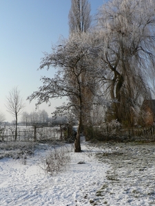 winter 2009