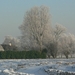 winter 2009