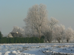 winter 2009