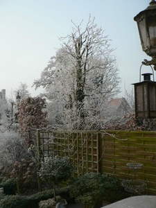 winter 2009