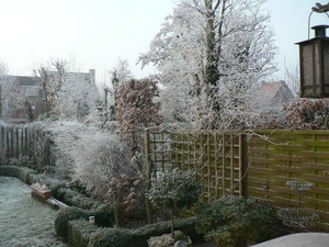 winter 2009
