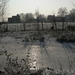 winter 2009