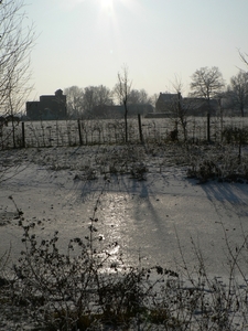 winter 2009