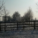winter 2009