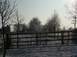 winter 2009