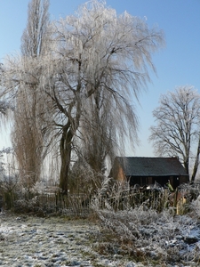 winter 2009