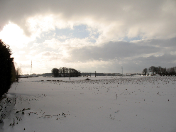 Pittem onder wit tapijt